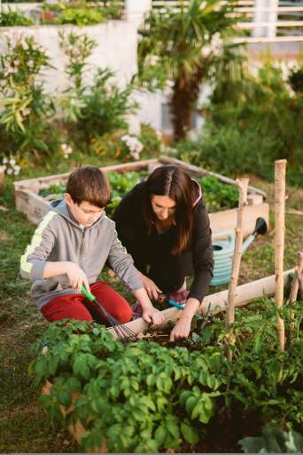 creer jardin permaculture