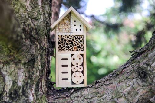 une maison à insectes posée sur un arbre