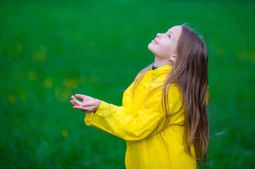 arrosage eau de pluie