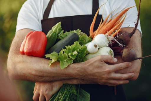 comment avoir un potager en permaculture