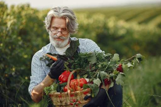 Comment débuter en permaculture ?