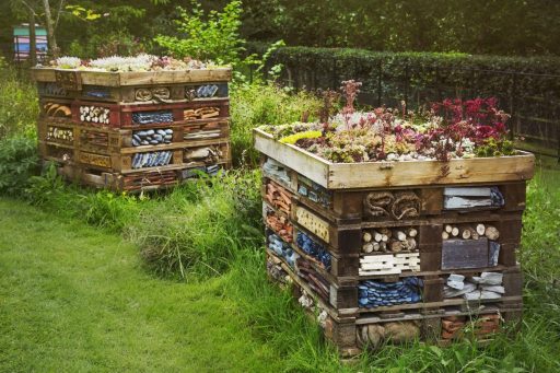 Pourquoi réaliser une maison à insectes