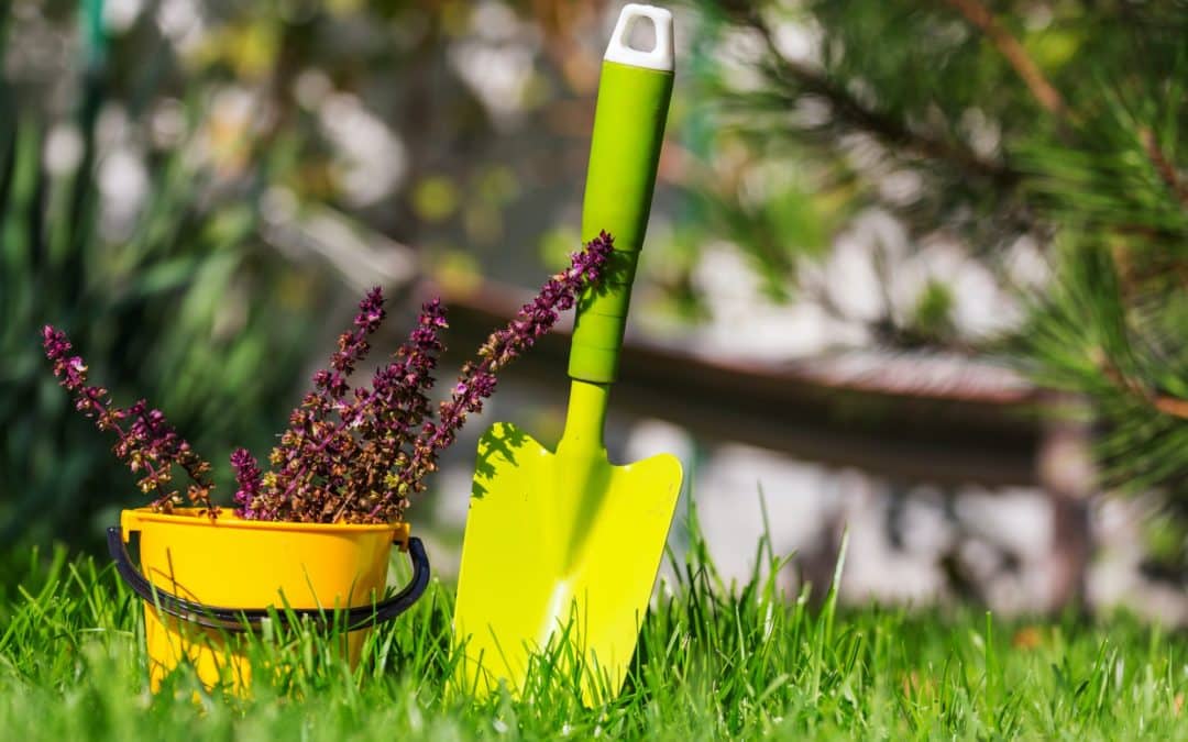 Les accessoires de jardin à posséder absolument !