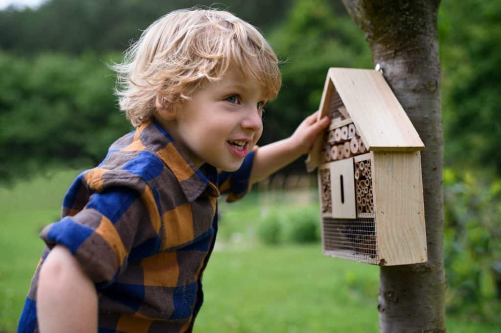 maison à insectes