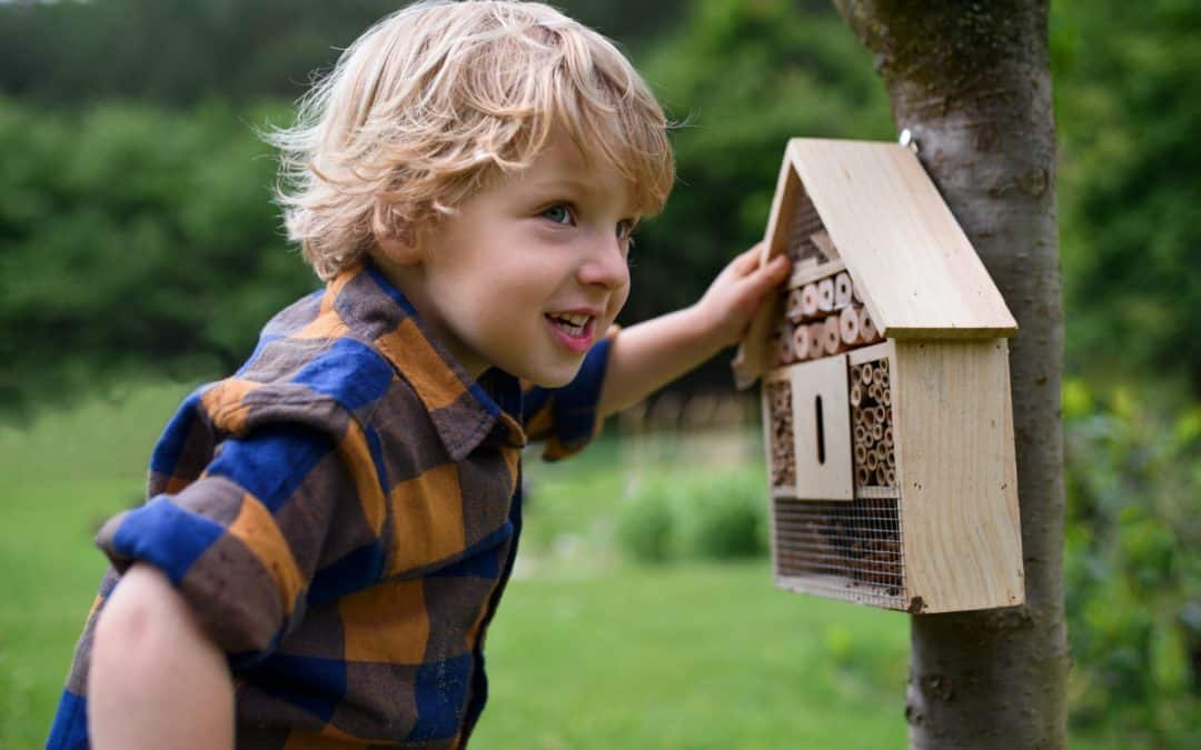 Lutter contre les parasites avec une maison à insectes