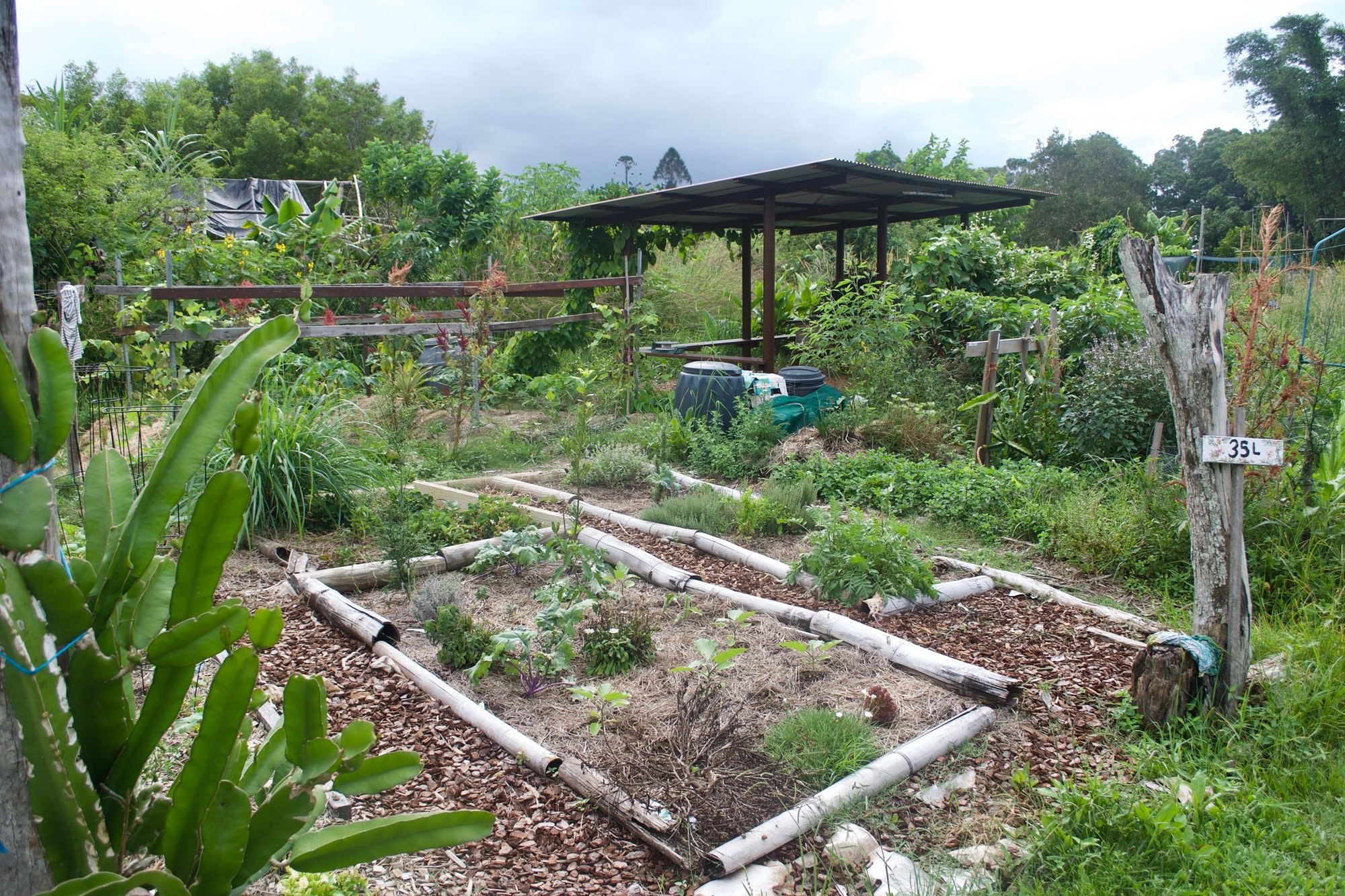 comment faire de la permaculture dans mon jardin