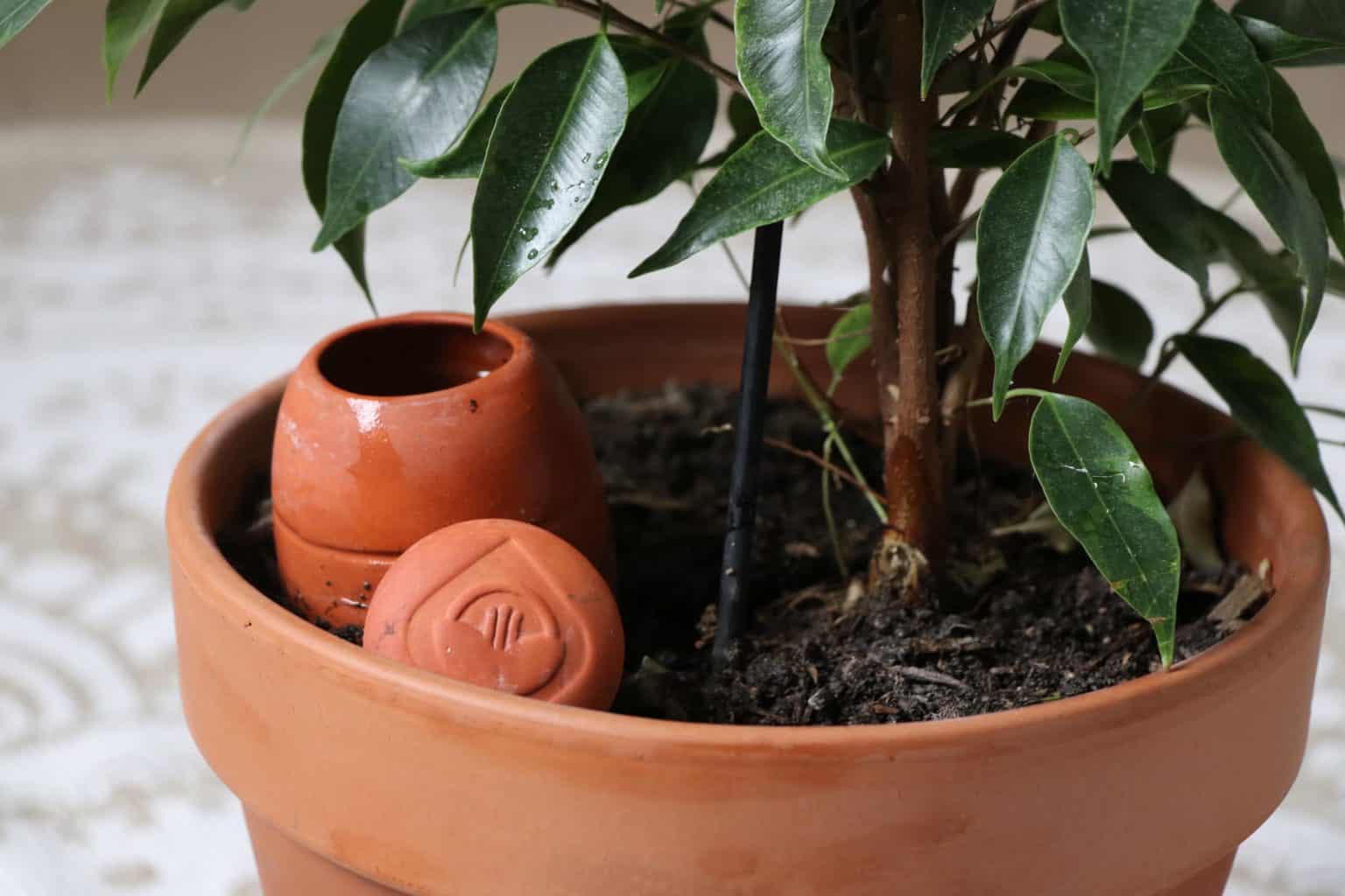 Tuto: Fabriquez vos ollas maison avec cette technique facile et rapide