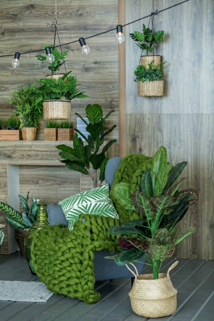 pièce pleine de plantes et plantes suspendues