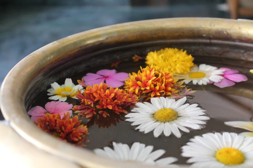 eau de pluie accumulée dans un pot de fleur