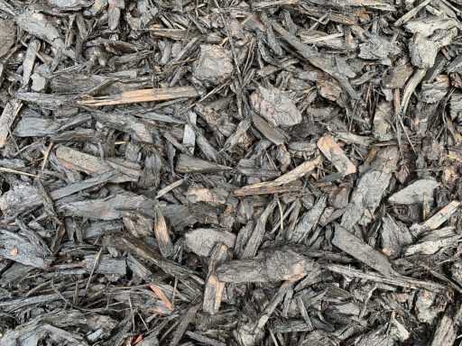 paillage pour un parterre de fleurs