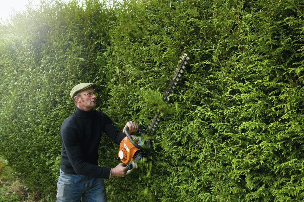 A man trimming a tall hedge with a motorized hedge trimmer.