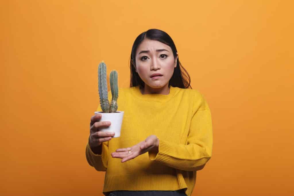 Confused uncertain asian woman gesturing unsurely while holding cactus plant