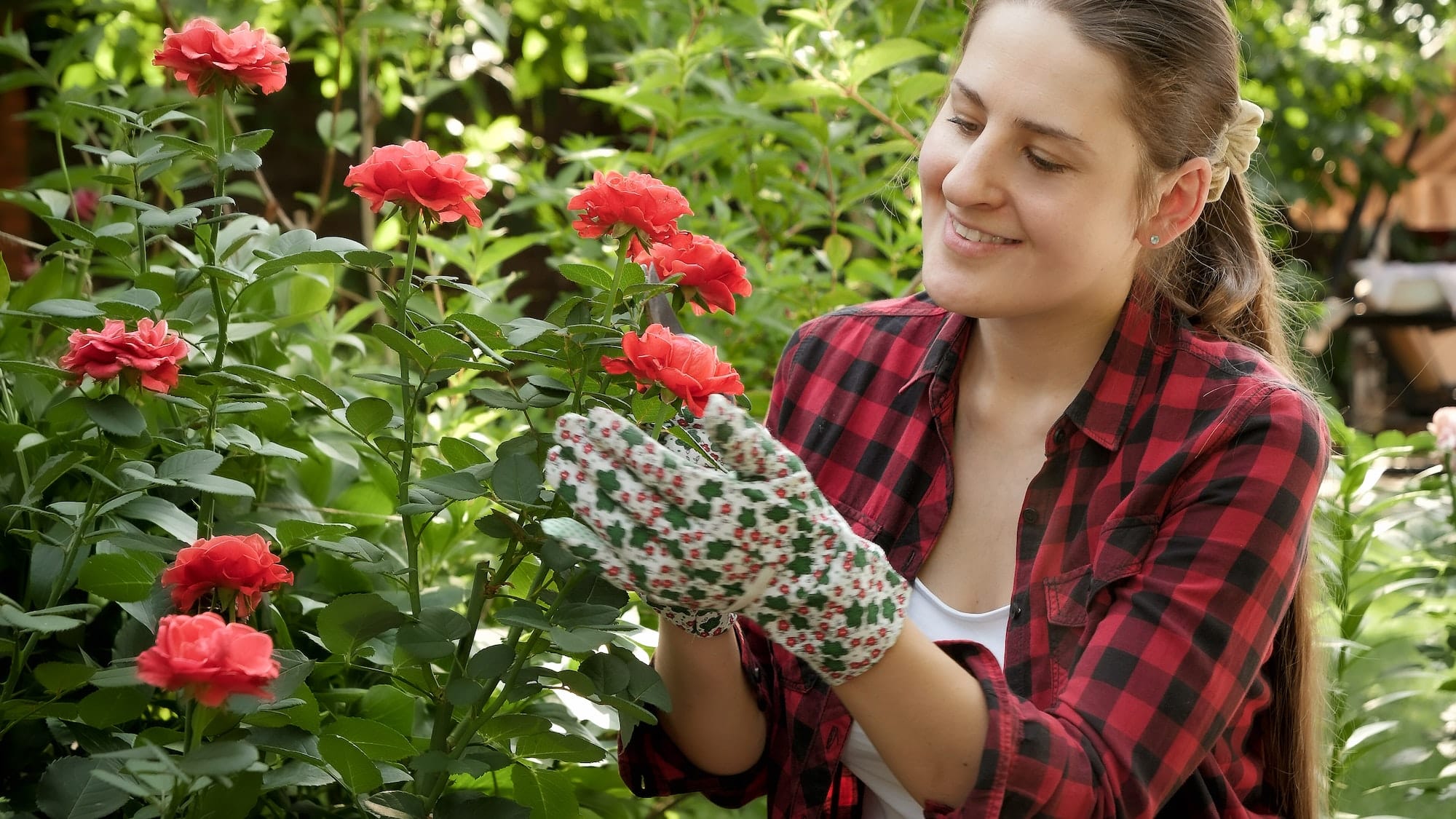 Portrait of smiling young woman working in garden. Cutting dead leaves and removing rose petals