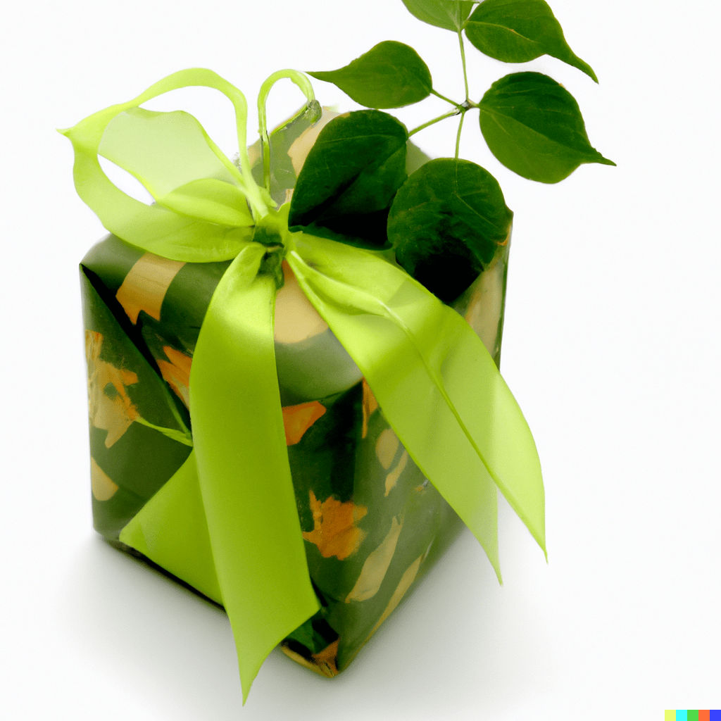 Cadeau éco-responsable : nos 10 idées pour un Noël plus vert