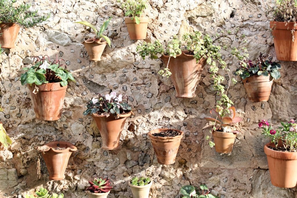 Plantes en pot accrochées à un mur