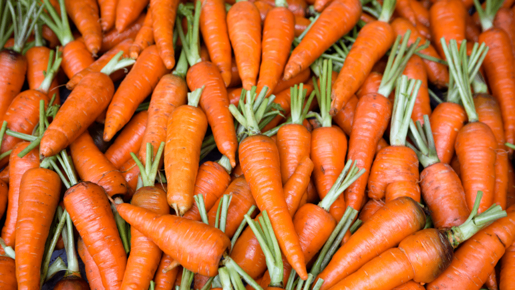Planter des carottes en hiver