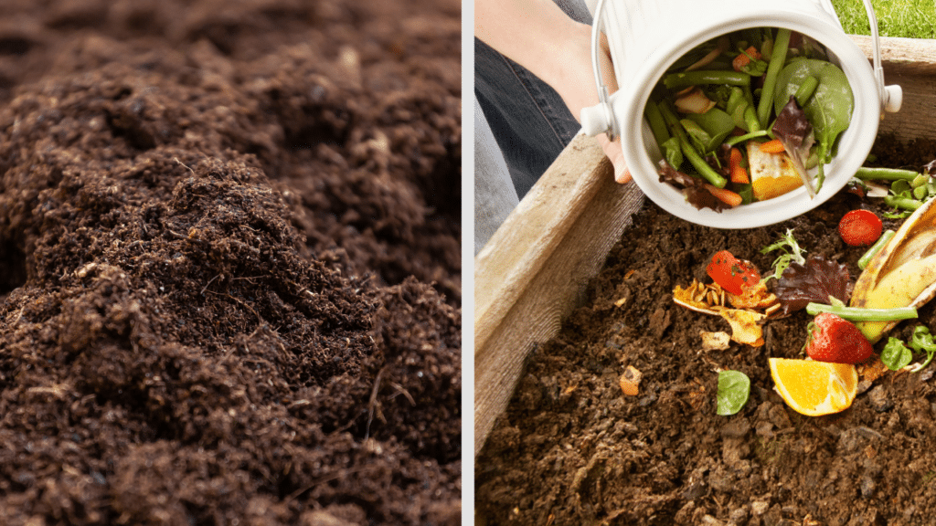 le compost et le terreau