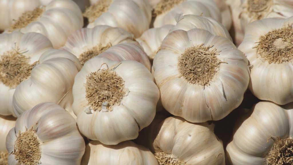 Ail pour punaises