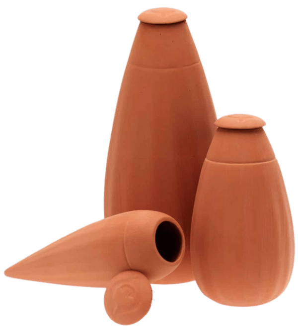 Système d'arrosage par capillarité : Nos 2 façons de l'utiliser ...