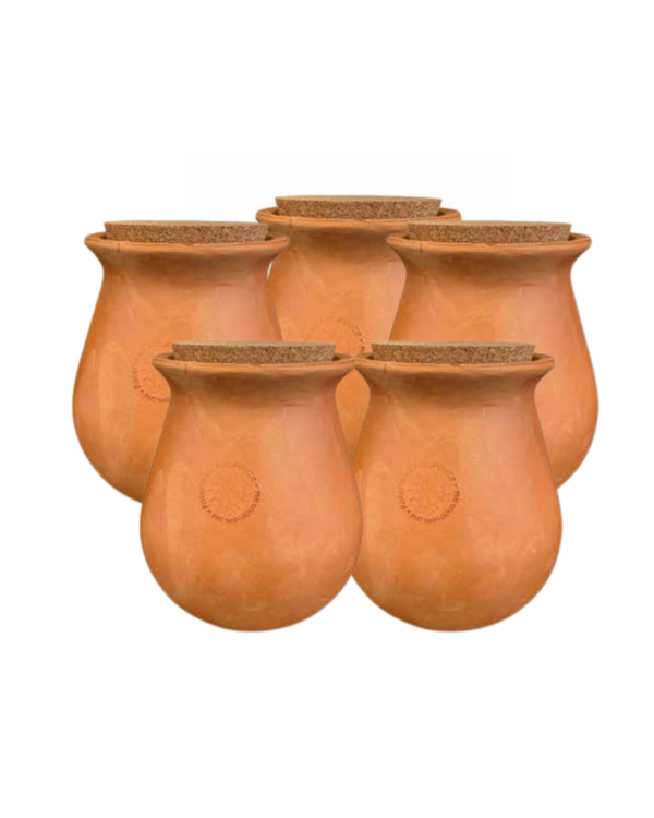 Pack ollas 5 litres Wepot