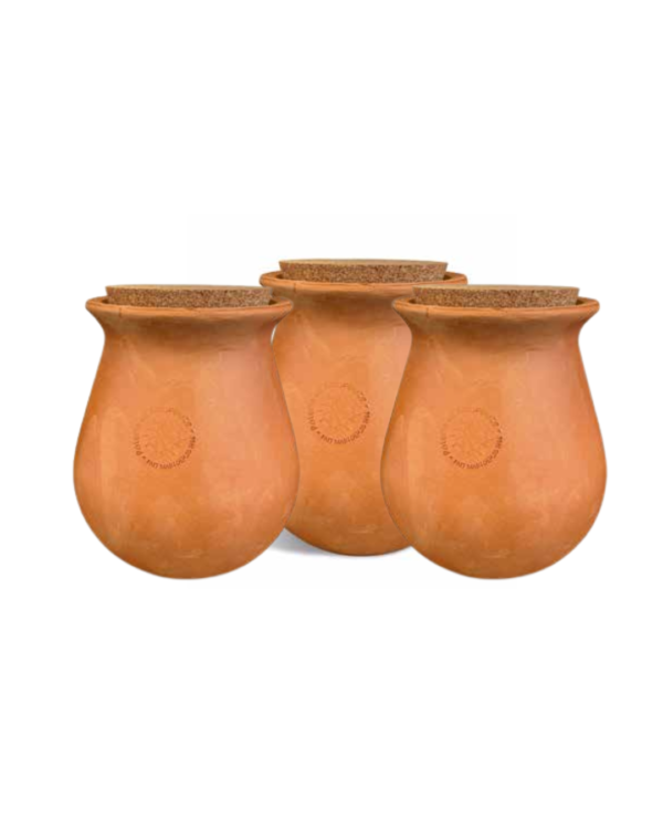Pack olla 5l Wepot