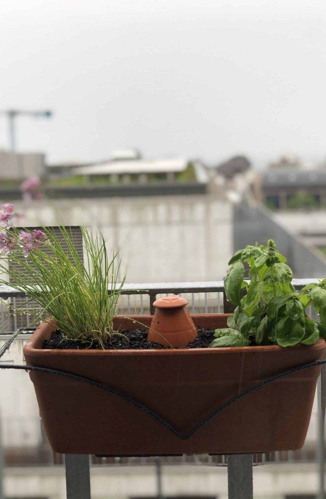 Créer votre jardin vertical à l'intérieur de votre maison ! - Wepot